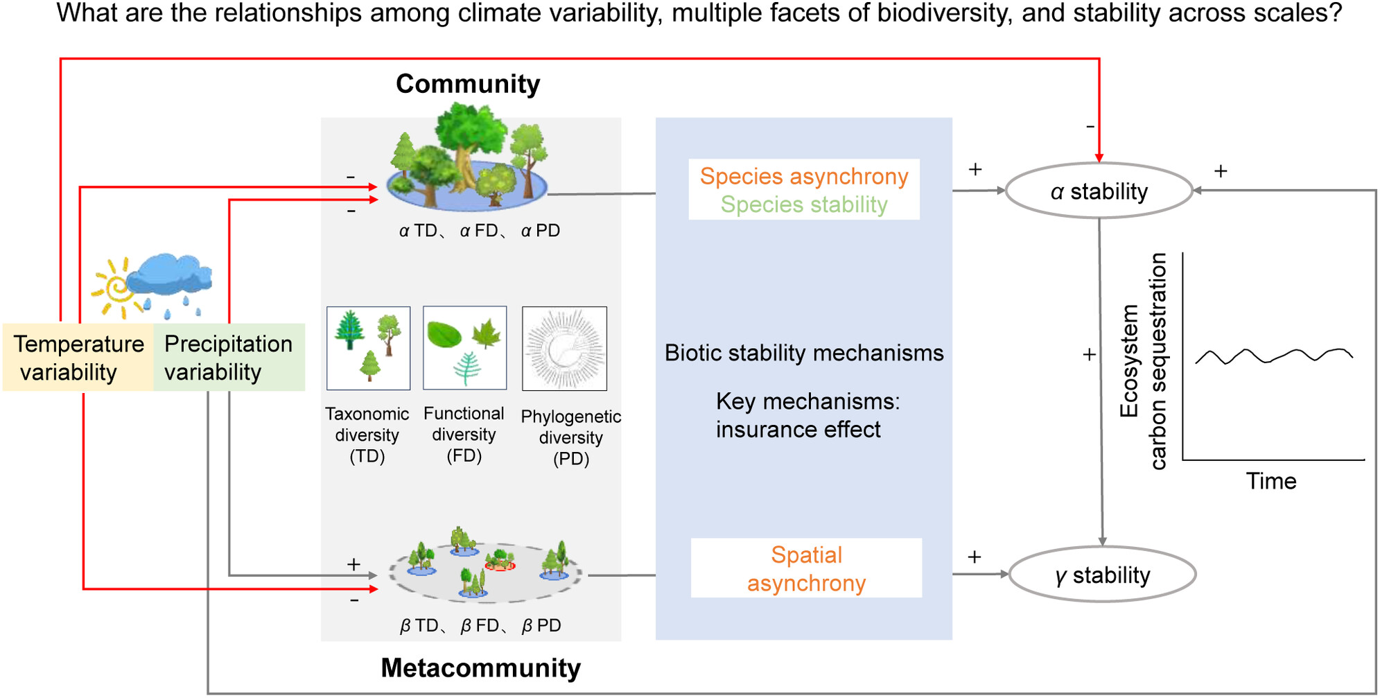 Climate Variability Modulates the Temporal Stability of Carbon Sequestration by Changing Multiple Facets of Biodiversity in Temperate Forests Across Scales