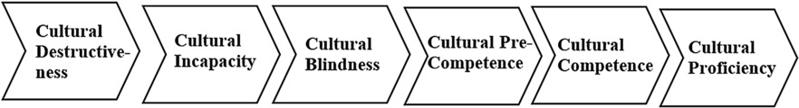 The Need for Cultural Competence in Science: A Practical Approach to Enhancing Equality, Diversity, and Inclusion