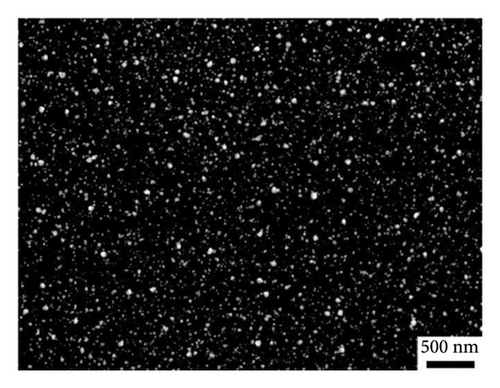 Details are in the caption following the image