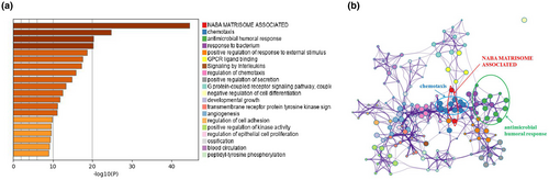 Details are in the caption following the image Details are in the caption following the image