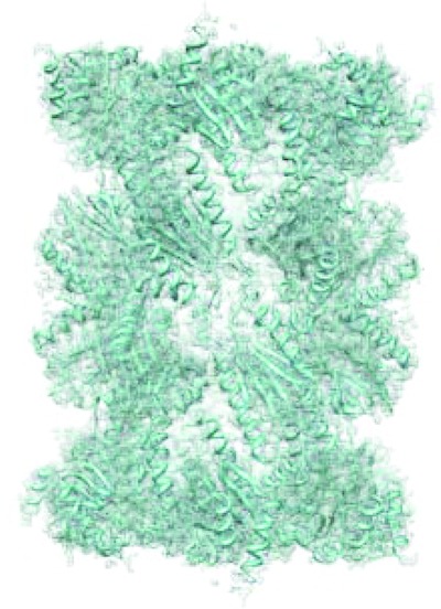 High-resolution cryo-EM proteasome structures in drug development