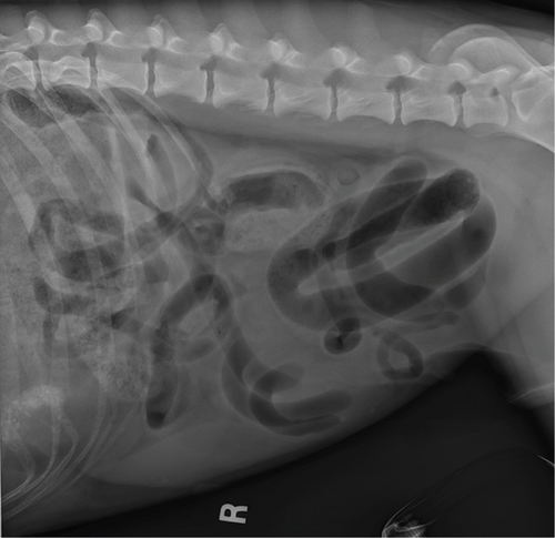 Details are in the caption following the image