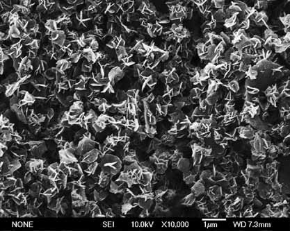 A Novel Strategy for the Synthesis of Sheet-Like Polyaniline