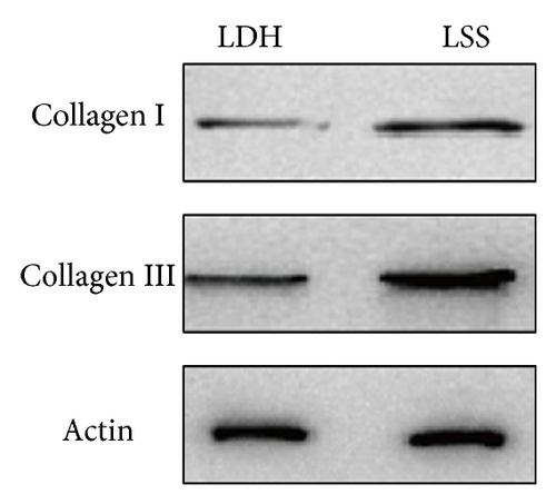 Details are in the caption following the image