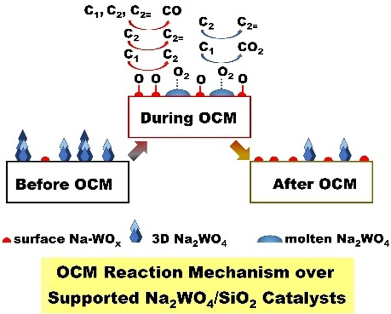 New Mechanistic and Reaction Pathway Insights for Oxidative Coupling of Methane (OCM) over Supported Na2WO4/SiO2 Catalysts