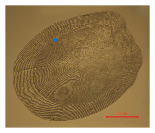 Details are in the caption following the image