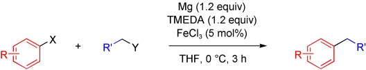 Domino Iron Catalysis: Direct Aryl–Alkyl Cross-Coupling