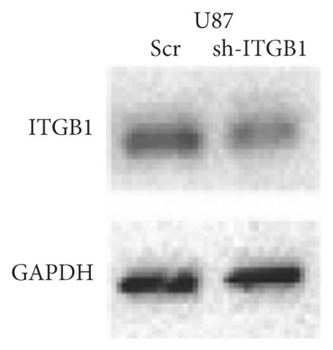 Details are in the caption following the image