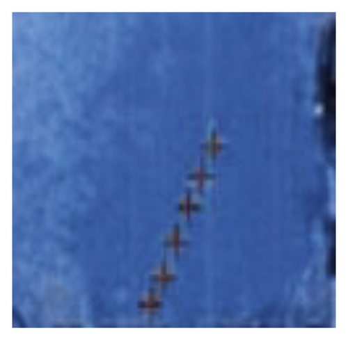 Details are in the caption following the image Details are in the caption following the image