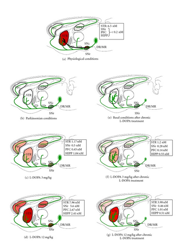 Details are in the caption following the image Details are in the caption following the image