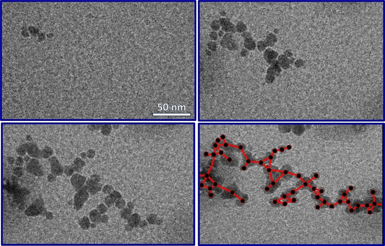 Autocatalytic Nucleation and Self-Assembly of Inorganic Nanoparticles into Complex Biosimilar Networks