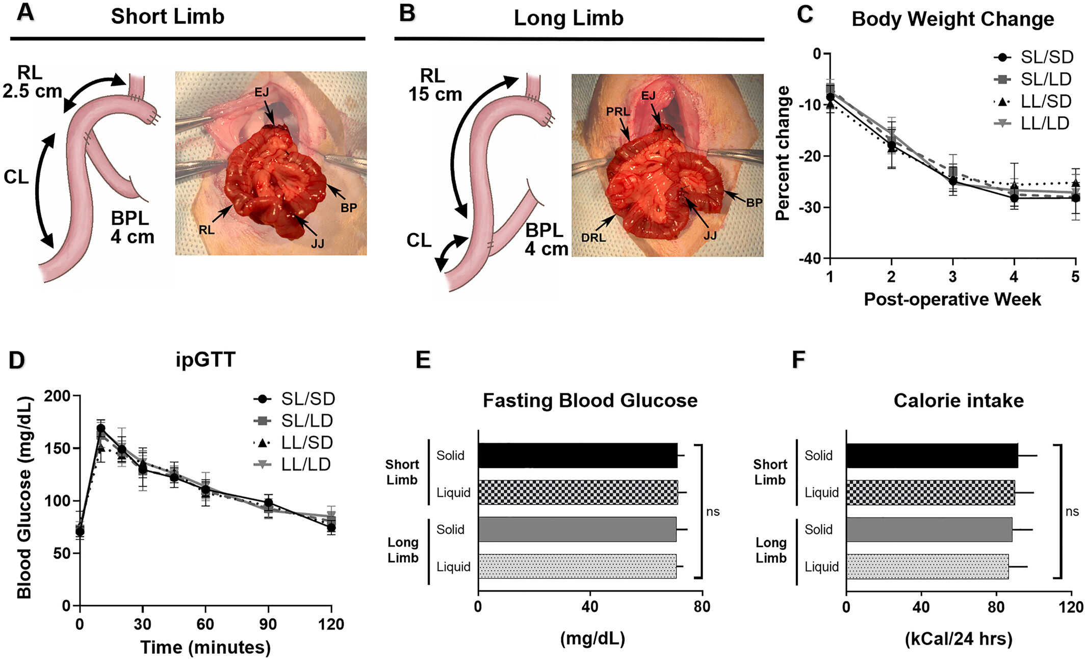 Physical properties of food or bile redirection do not contribute to the intestinal adaptations after Roux-en-Y Gastric Bypass in rats
