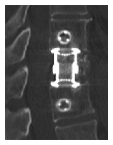 Details are in the caption following the image
