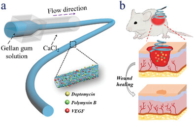 Multiple Bio-Actives Loaded Gellan Gum Microfibers from Microfluidics for Wound Healing