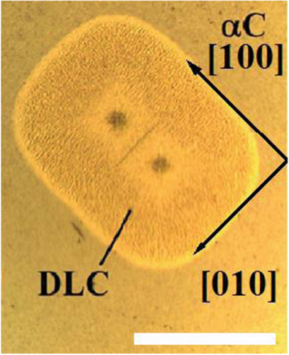 Details are in the caption following the image