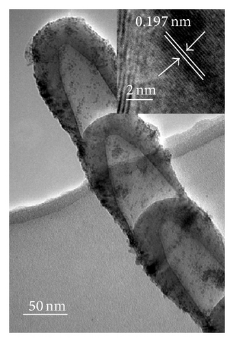 Details are in the caption following the image