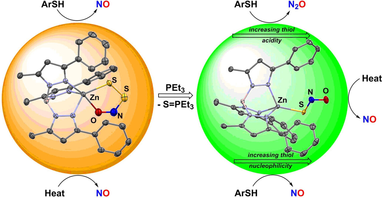 Thionitrite and Perthionitrite in NO Signaling at Zinc
