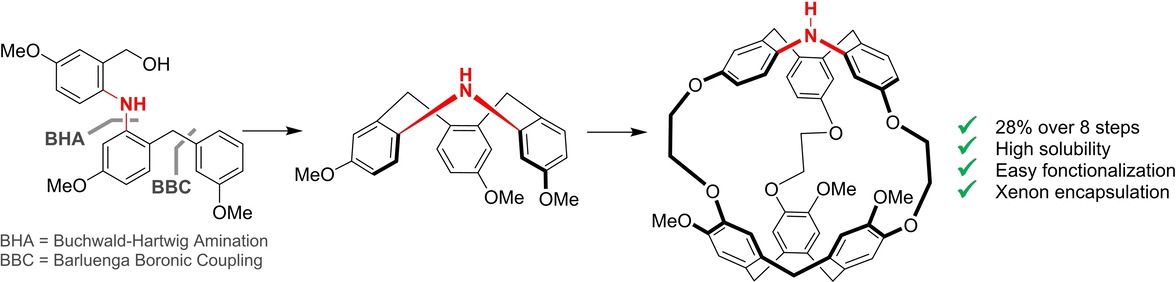 Synthesis and Physicochemical Properties of Cryptophazane—A Soluble and Functionalizable C1-Symmetrical Cryptophane