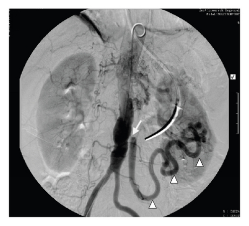 Details are in the caption following the image Details are in the caption following the image