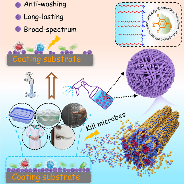 Assembly of Hexagonal Column Interpenetrated Spheres from Plant Polyphenol/Cationic Surfactants and Their Application as Antimicrobial Molecular Banks