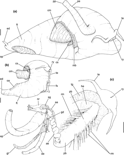 Details are in the caption following the image Details are in the caption following the image