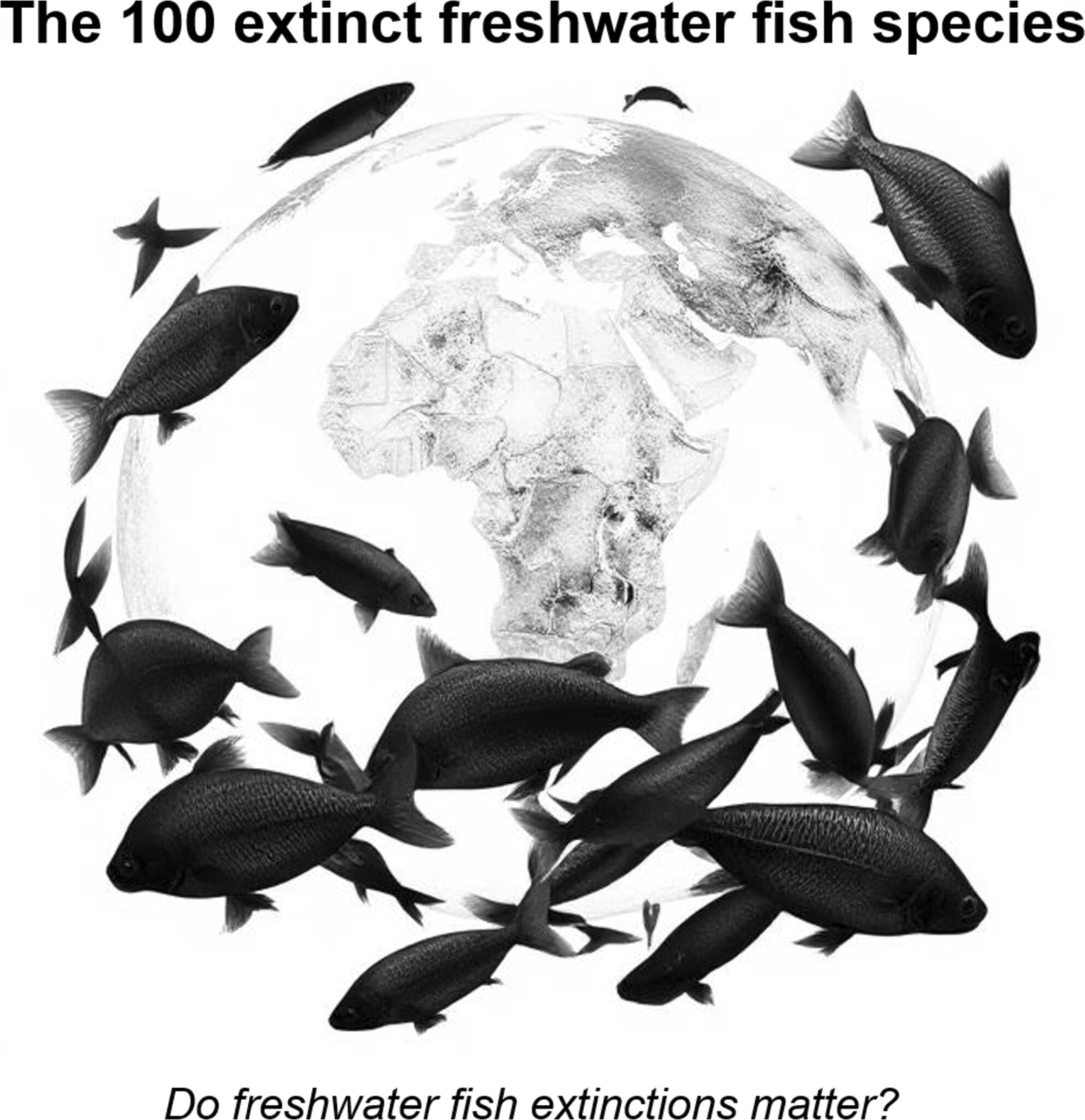 Global Patterns and Drivers of Freshwater Fish Extinctions: Can We Learn From Our Losses?