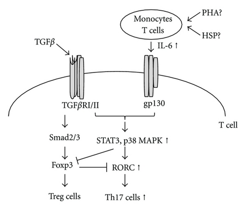 Details are in the caption following the image