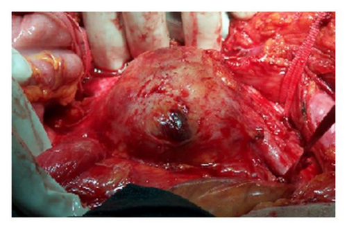 Details are in the caption following the image Details are in the caption following the image