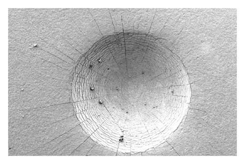 Details are in the caption following the image