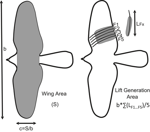 Details are in the caption following the image Details are in the caption following the image
