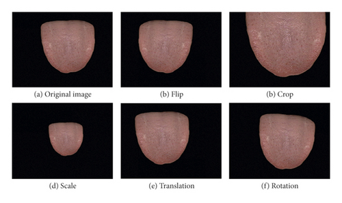 Details are in the caption following the image Details are in the caption following the image