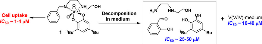 A Short-Lived but Highly Cytotoxic Vanadium(V) Complex as a Potential Drug Lead for Brain Cancer Treatment by Intratumoral Injections