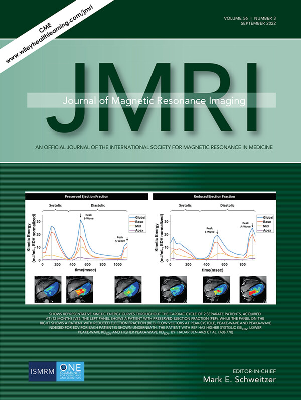 Longitudinal Changes in Left Ventricular Blood Flow Kinetic Energy After Myocardial Infarction: Predictive Relevance for Cardiac Remodeling