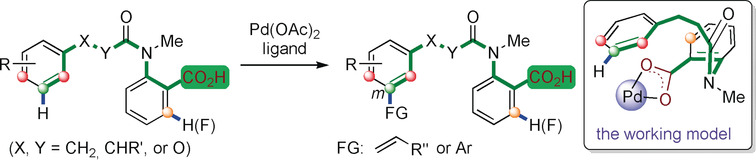 Carboxy Group as a Remote and Selective Chelating Group for C−H Activation of Arenes