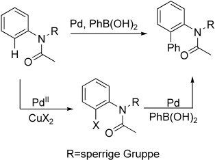 Suzuki–Miyaura Coupling Reaction by PdII-Catalyzed Aromatic C<span class='icomoon'></span>H Bond Activation Directed by an N-Alkyl Acetamino Group