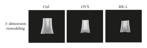 Details are in the caption following the image