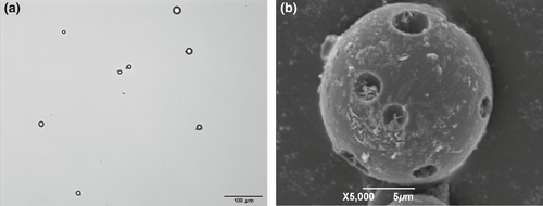 Details are in the caption following the image