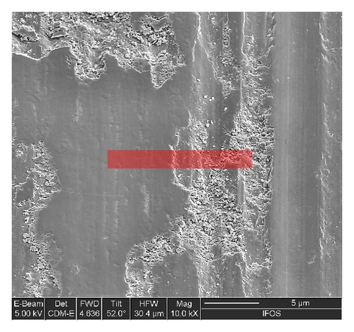 Details are in the caption following the image Details are in the caption following the image