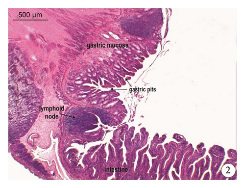 Details are in the caption following the image Details are in the caption following the image