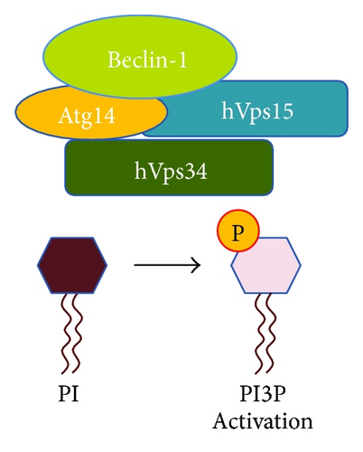 Details are in the caption following the image