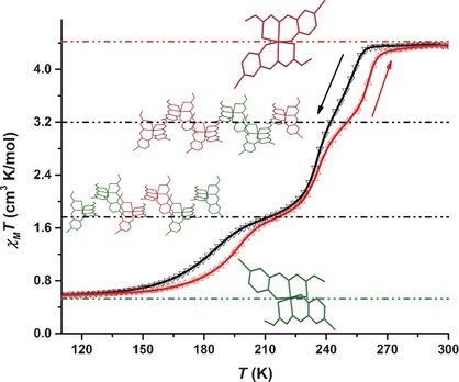 Direct Observation of Ordered High-Spin–Low-Spin Intermediate States of an Iron(III) Three-Step Spin-Crossover Complex