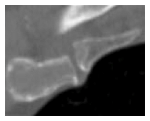 Details are in the caption following the image Details are in the caption following the image