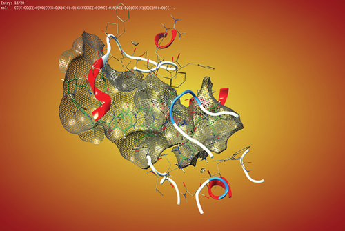 Details are in the caption following the image Details are in the caption following the image