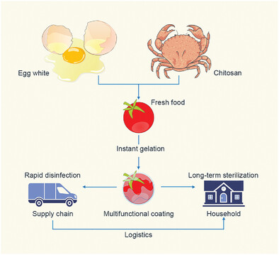 Deprotonation-Constructed Instant Gelation Coating for Staphylococcus Disinfection and Preservation of Fresh Food in Multiple Scenarios
