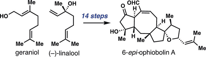Total Synthesis of (+)-6-epi-Ophiobolin A