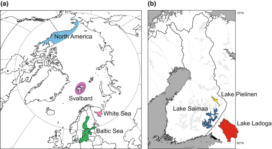 Museum specimens of a landlocked pinniped reveal recent loss of genetic diversity and unexpected population connections