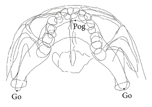 Details are in the caption following the image Details are in the caption following the image