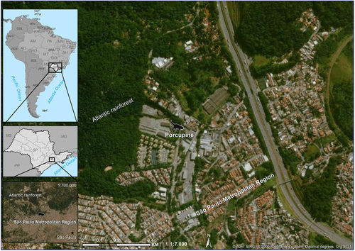 Details are in the caption following the image Details are in the caption following the image
