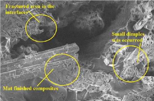 Details are in the caption following the image