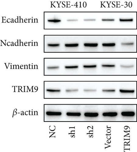 Details are in the caption following the image